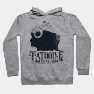 Vintage National Park Hoodie